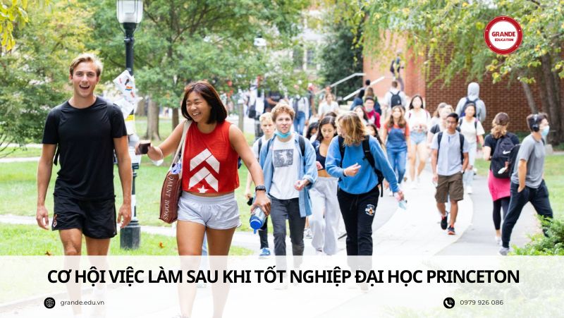 co-hoi-viec-lam-sau-khi-tot-nghiep-dai-hoc-princeton Cơ hội việc làm sau khi tốt nghiệp Đại học Princeton