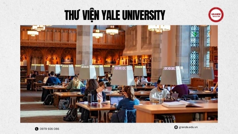 co-so-vat-chat-hien-dai-truong-yale-university Cơ sở vật chất hiện đại trường Yale University