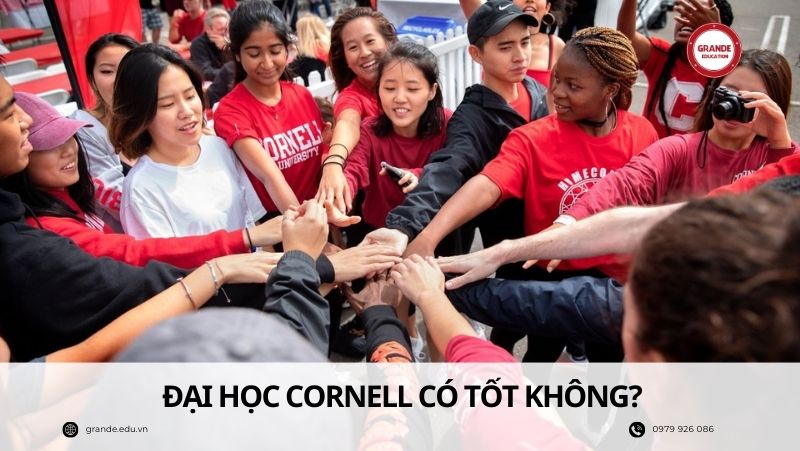 dai-hoc-carnell-co-tot-khong Đại học Cornell (Cornell University) có tốt không?