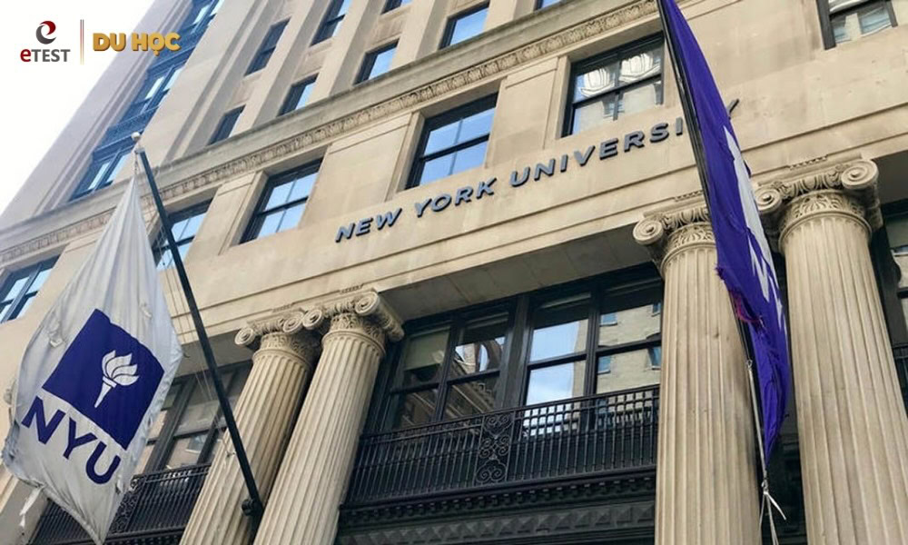 Đại học New York University: Ngành học, Học phí, Yêu cầu tuyển sinh
