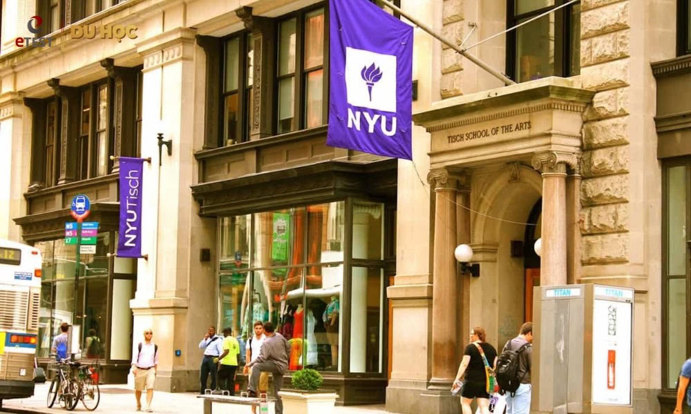 Nghệ thuật tại NYU