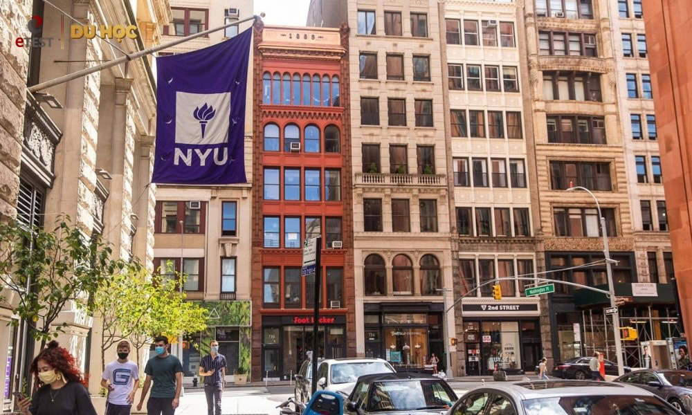Học phí NYU