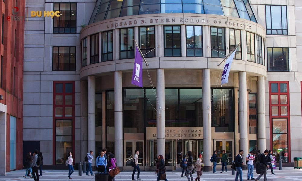 Yêu cầu tuyển sinh NYU