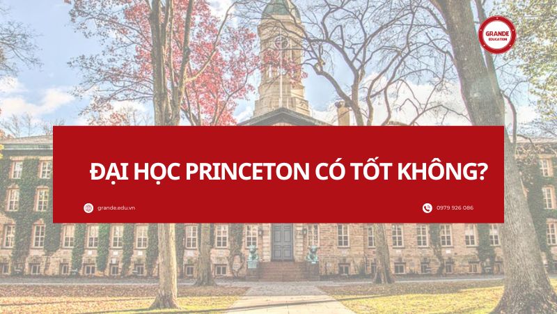 dai-hoc-princeton-co-tot-khong Đại học Princeton có tốt không