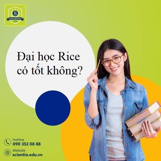 Đại học Rice: Học phí, học bổng, SAT/ACT, GPA, TOEFL/IELTS