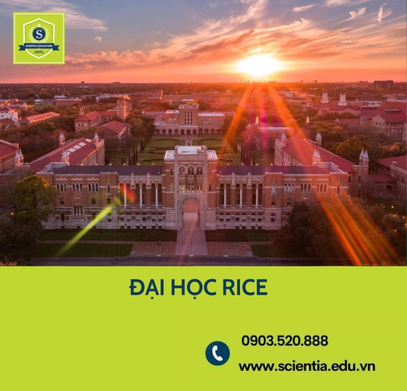 Đại học Rice: Học phí, học bổng, SAT/ACT, GPA, TOEFL/IELTS