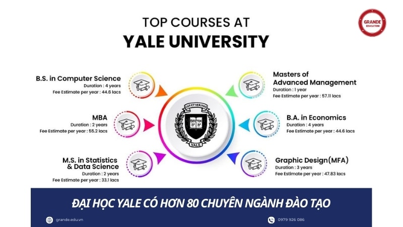 dai-hoc-yale-co-hon-80-chuyen-nganh-dao-tao