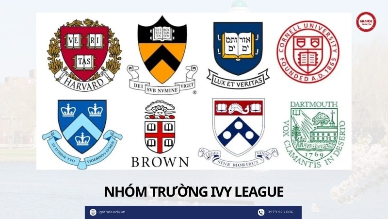 nhom-truong-ivy-league Nhóm trường ivy league