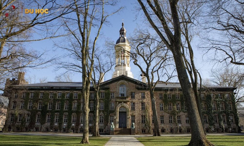 Đại học Princeton