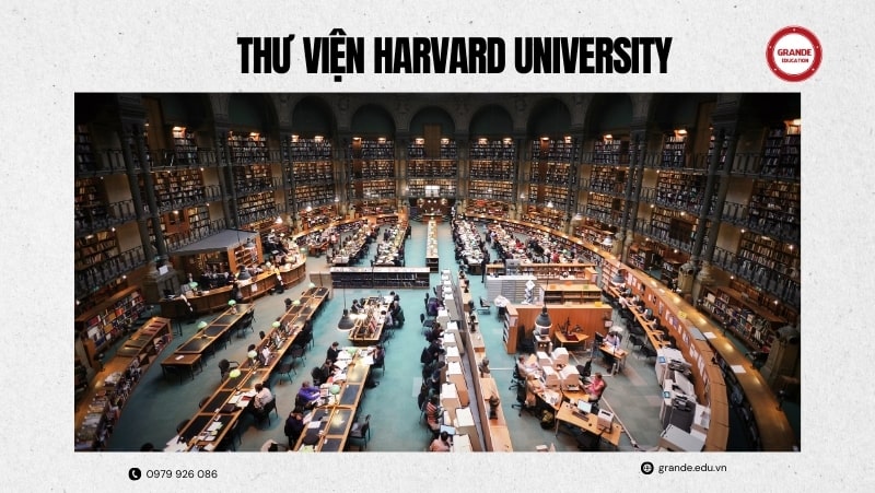thu-vien-truong-harvard-university Thư viện trường Harvard University
