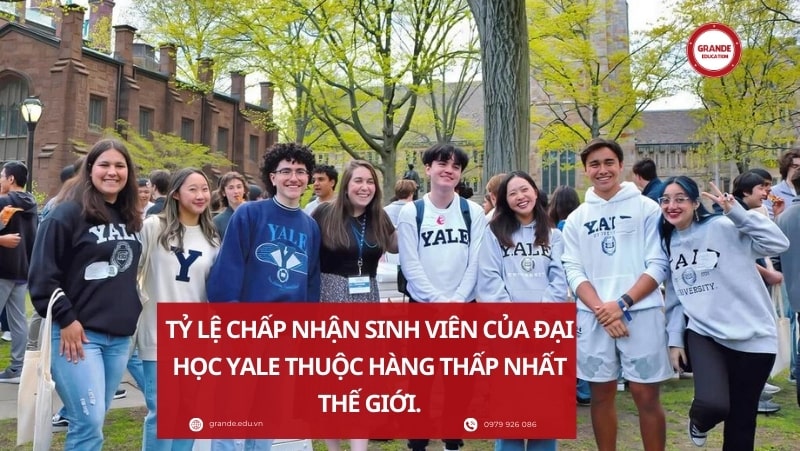 ty-le-chap-nhan-sinh-vien-cua-dai-hoc-yale-thuoc-hang-thap-nhat-the-gioi Tỷ lệ chấp nhận sinh viên của Đại học Yale thuộc hàng thấp nhất thế giới