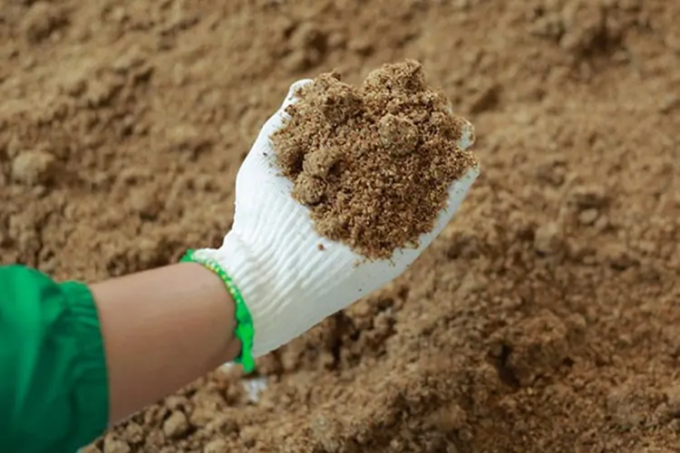 Phối trộn thức ăn cho gà từ thảo dược